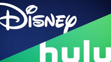 Hulu Service Ending Soon as All Shows Move Exclusively to Disney+ Platform