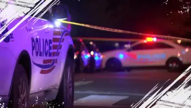 Latest Crime Statistics Unveiled for the Capital as Year Wraps Up