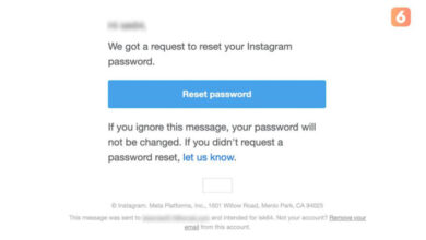 Millions of Instagram Accounts Receive Password Reset Emails: Stay Alert and Secure