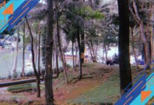 Top 10 Must-Visit Natural Attractions from Mountains to Valleys for Outdoor Lovers