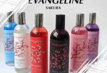 Top 6 Soft and Feminine Floral Perfumes with Captivating Sakura-Inspired Scents