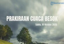 Weather Forecast for Pohuwato and North Gorontalo: What to Expect Tomorrow