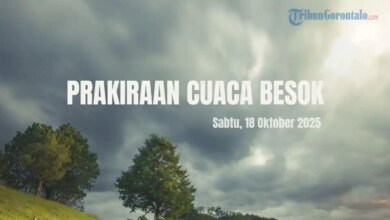 Weather Forecast for Pohuwato and North Gorontalo: What to Expect Tomorrow