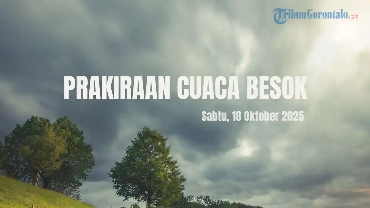 Weather Forecast for Pohuwato and North Gorontalo: What to Expect Tomorrow