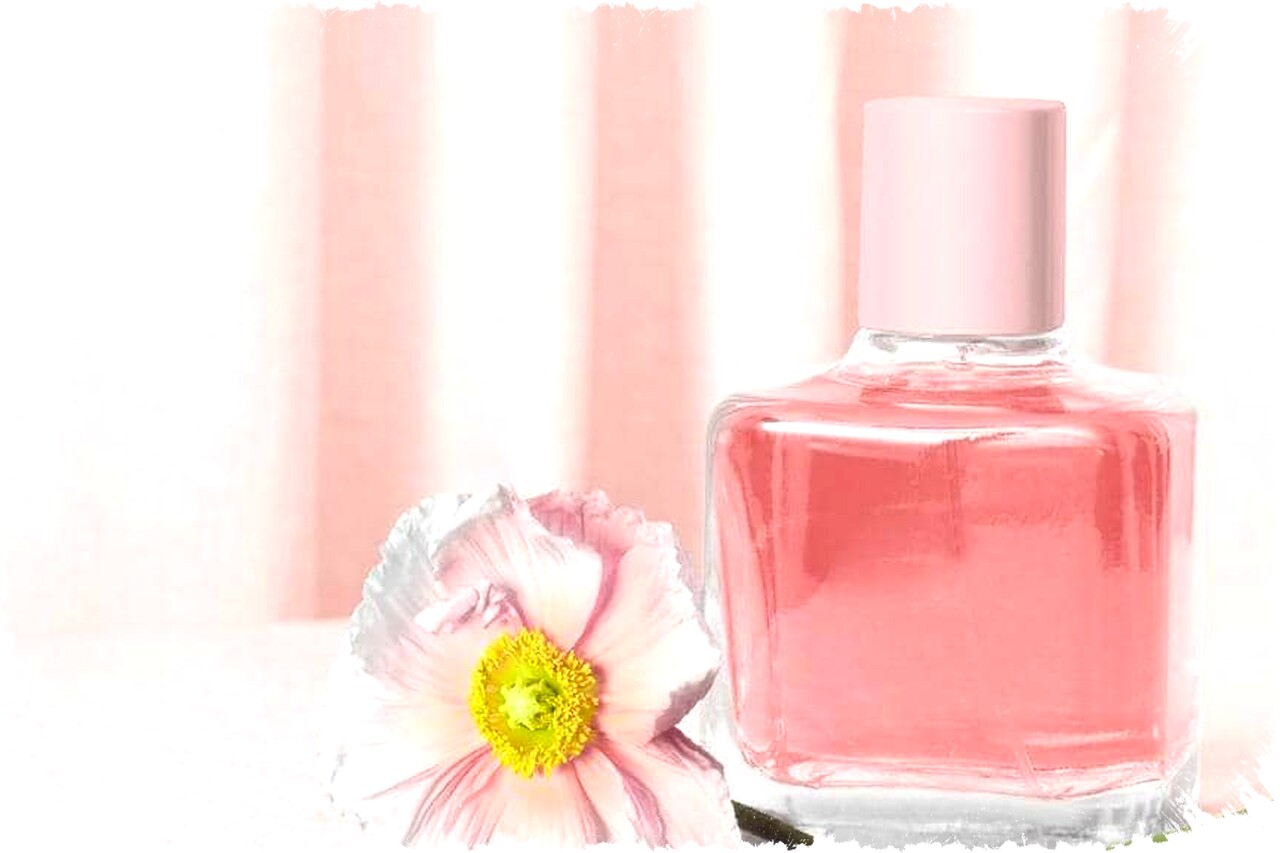 13 Long-Lasting Women’s Perfumes at Indomaret That Outsmart Expensive Brands—Affordable Scents You Can’t Ignore!