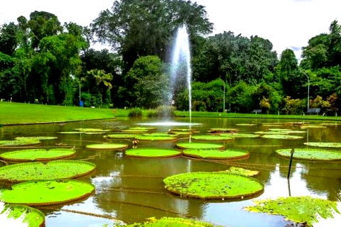 8 Must-Visit Bogor Destinations This Lebaran, Discover Hidden Gems for Unforgettable Family Moments
