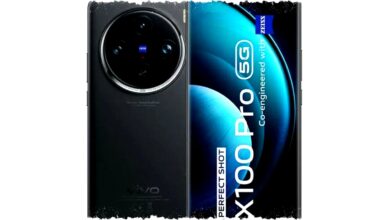 Vivo X100 Pro Breaks Boundaries With 100x Periscope Zoom, ZEISS Optics Delivering Stunning Photos At Unbelievable Prices