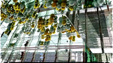 Xiaomi 17 Series With Leica Camera Redefines Flagship Photography, Blurring Lines Between Art And Technology