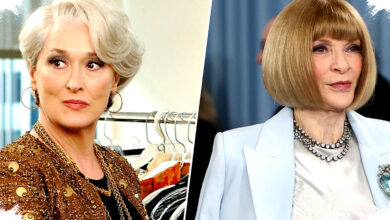 Meryl Streep And Anna Wintour Are Sixth Cousins, The Meanest Fashion Rivalry Gets Personal