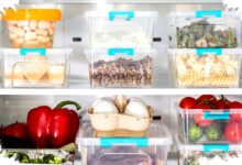 Mini Fridges Save Space, Online Land Certificate Checks Cut Property Risk