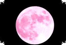 Pink Moon On April 1, 2026 Isn’t Pink, Here’s The Science And The Myth