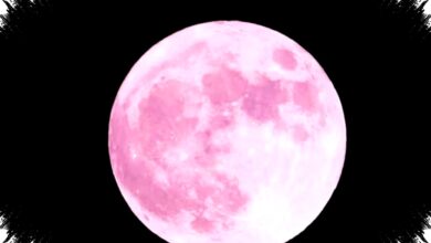 Pink Moon On April 1, 2026 Isn’t Pink, Here’s The Science And The Myth