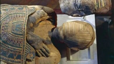 Bongkar Misteri Bashiri: Mumi Mesir yang Ditakuti Arkeolog untuk Dibuka