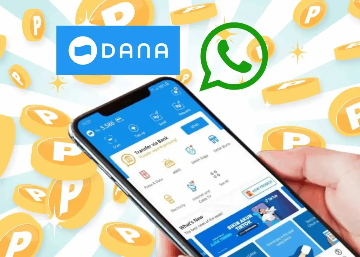 Cair Setiap Hari Rp67.000 Saldo DANA Gratis, Daftar Pakai Nomor WA!