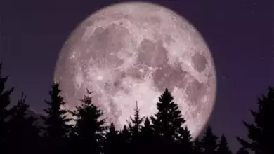 Deretan Fenomena Langit Menakjubkan di 2025, Selain Strawberry Moon