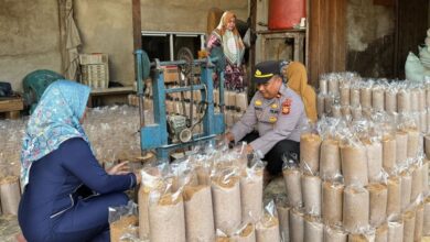 Sunaryo Gerakkan Ekonomi Warga Lewat Jamur Tiram yang Menguntungkan