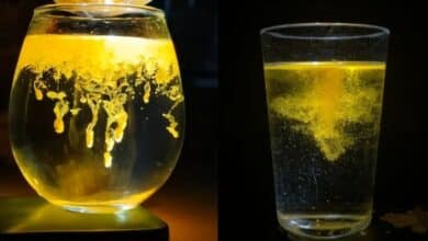 Tren Lava Lamp Kunyit Ramai di Media Sosial: Simak Cara Membuatnya!