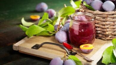 8 Rekomendasi Minuman Pelancar BAB: Variatif dan Mudah Dibuat!