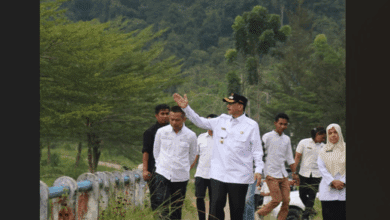 Amping Parak Siap Geliatkan Budaya Lokal Melalui Beragam Inisiatif