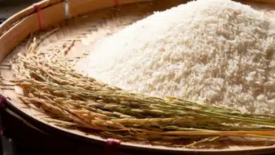 Apakah Beras Oplosan Aman Dikonsumsi? Temukan Penjelasannya di Sini!