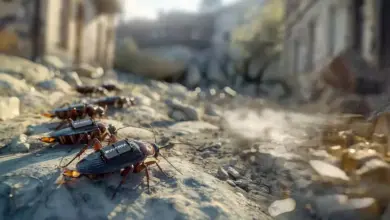 Jerman Berencana Manfaatkan Kecoak Sebagai Mata-mata dalam Perang