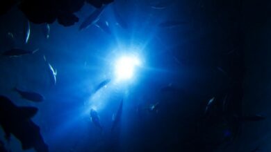 Kisah Masa Lalu Bumi: Fakta Mengejutkan dari Kedalaman Samudra Pasifik