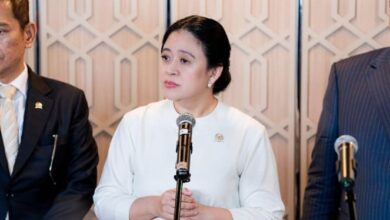 Puan Minta Kasus Beras Oplosan Diusut Tuntas, Lindungi Rakyat dari Kerugian!