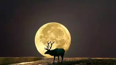 Saksikan Bulan Purnama Paling Dramatis Tahun Ini Dini Hari Besok!