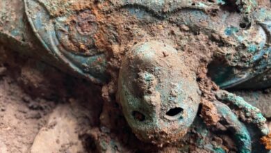 Terbakar dan Terkubur di Ladang: 800 Artefak Zaman Besi Mengguncang Arkeolog!