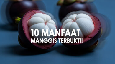 10 Khasiat Manggis Terbukti Ilmiah, Cegah Penyakit Jantung hingga Bantu Turunkan Berat Badan