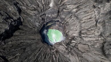 Analisis: Apa yang Terjadi saat Gempa Megathrust Guncang Ring of Fire?