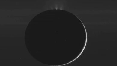 Bumi Alami Fenomena Bulan Hitam 23 Agustus 2025, Ini Dampaknya