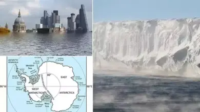 Es Antartika Barat Akan Runtuh, Kota Pesisir Dunia Terancam Tenggelam
