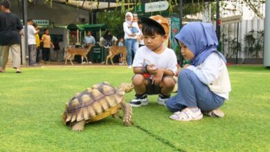 Masa Kecil Takkan Terulang: Orang Tua Harus Ciptakan Bonding Tanpa Gadget