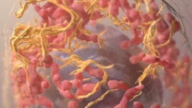 Pakar Ungkap 6 Pilar Hadapi Kanker, Kunci Hidup Lebih Panjang?