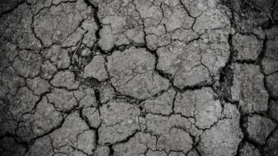 Penelitian Ungkap Peran Manusia Penyebab Kekeringan Berkepanjangan di Amerika Barat Daya