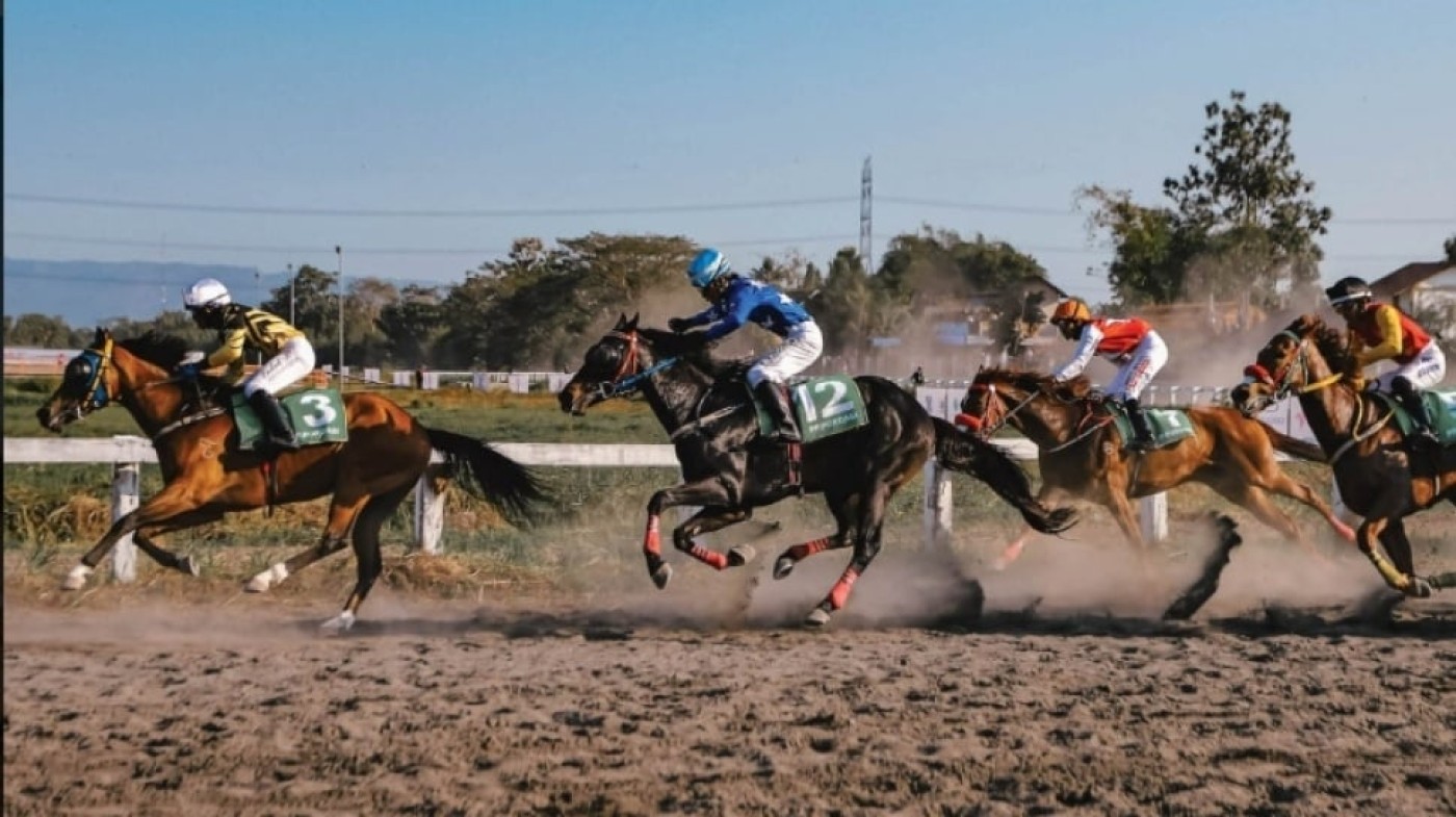 Sensasi Pacuan Kuda di Bibir Pantai: Merdeka Cup 2025 Hanya di Pangandaran! Sensasi Pacuan Kuda di Bibir Pantai: Merdeka Cup 2025 Hanya di Pangandaran!