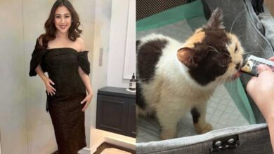 Sherina Selamatkan Kucing dari Rumah Uya Kuya yang Dijarah Massa