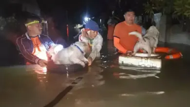 Badai Tropis Bualoi Tewaskan 11 di Filipina, Ribuan Warga Mengungsi