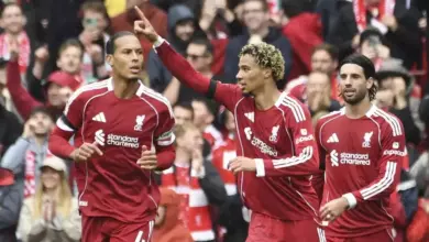 Berapa Poin yang Dibutuhkan untuk Juara Premier League? Fakta & Analisis Terbaru