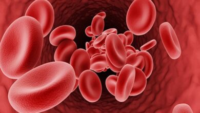 Bulan Kesadaran Kanker Darah 2025: Kenali Gejala Multiple Myeloma Sekarang