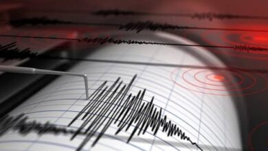 Fakta Gempa Sukabumi-Bogor: 29 Kali Susulan, Sesar Aktif Jadi Pemicu