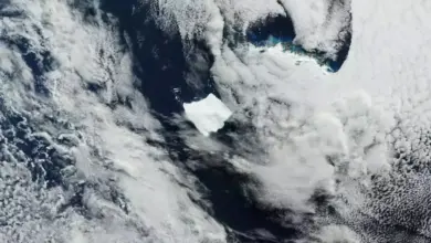 Gunung Es Raksasa Tertua Mencair Cepat, Diprediksi Hilang Minggu Ini