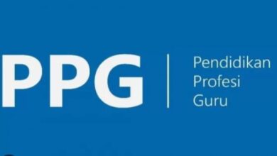 Lolos PPG Tahap 3: Panduan Lengkap Cara Verifikasi dan Validasi Ijazah (Verval) yang Tepat