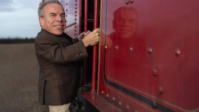 Warwick Davis Kembali Perankan Profesor Flitwick di Serial Harry Potter HBO