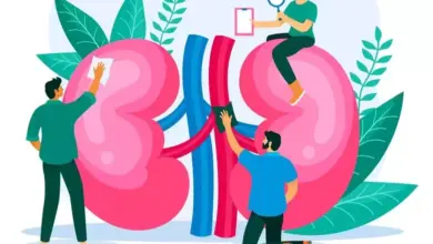 10 Fungsi Ginjal yang Menakjubkan dan Cara Menjaganya Tetap Prima