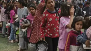 2 Pekan Gencatan Senjata, WHO: Krisis Kelaparan di Gaza Tetap Bencana