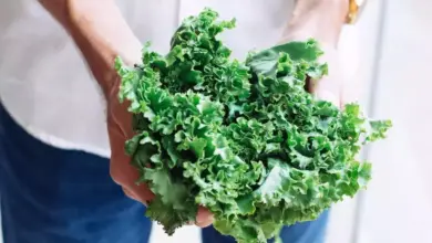 Bahaya Memanaskan Ulang Sayuran di Microwave, Bisakah Picu Kanker?