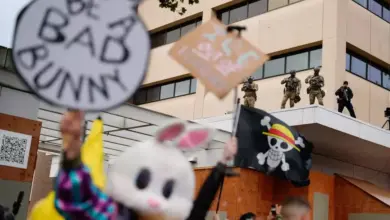 Bendera One Piece Berkibar di Tengah Demo Pendukung Trump di AS, Viral