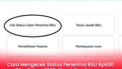 Cara Cek Status Penerima BSU Rp600 Ribu 2025: Panduan Lengkap dan Mudah Dilakukan